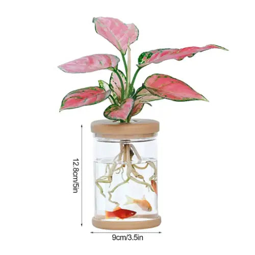 Clear hydroponic plant pot for easy growth and display