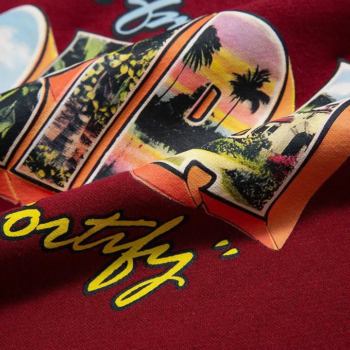 Y2k florida fleece letter print hoodie for ultimate comfort - hoodies
