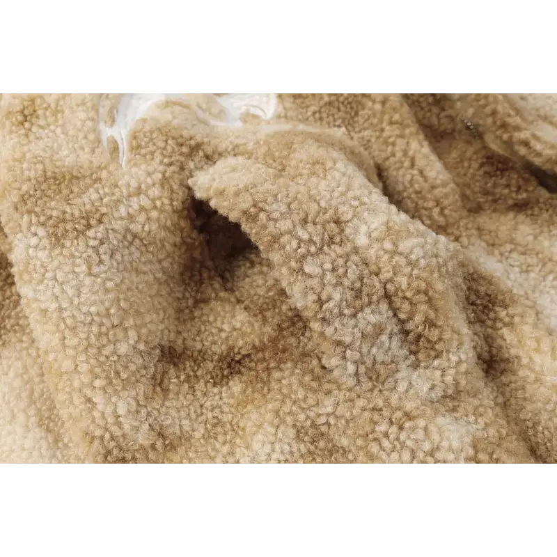 Y2k soft hooded fleece winter jacket for cozy style