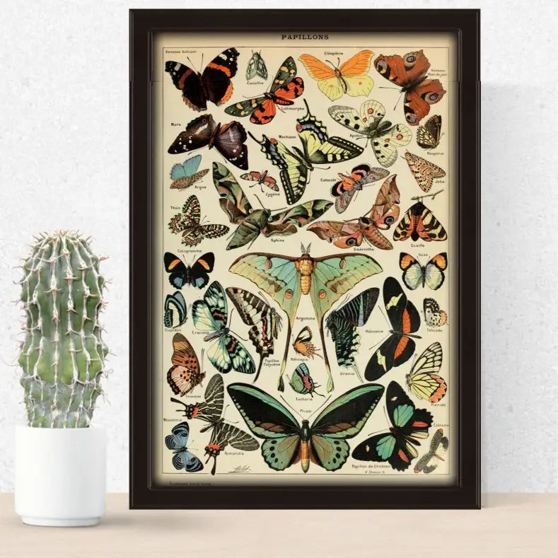 Aesthetic butterflies poster for vintage cottagecore decor