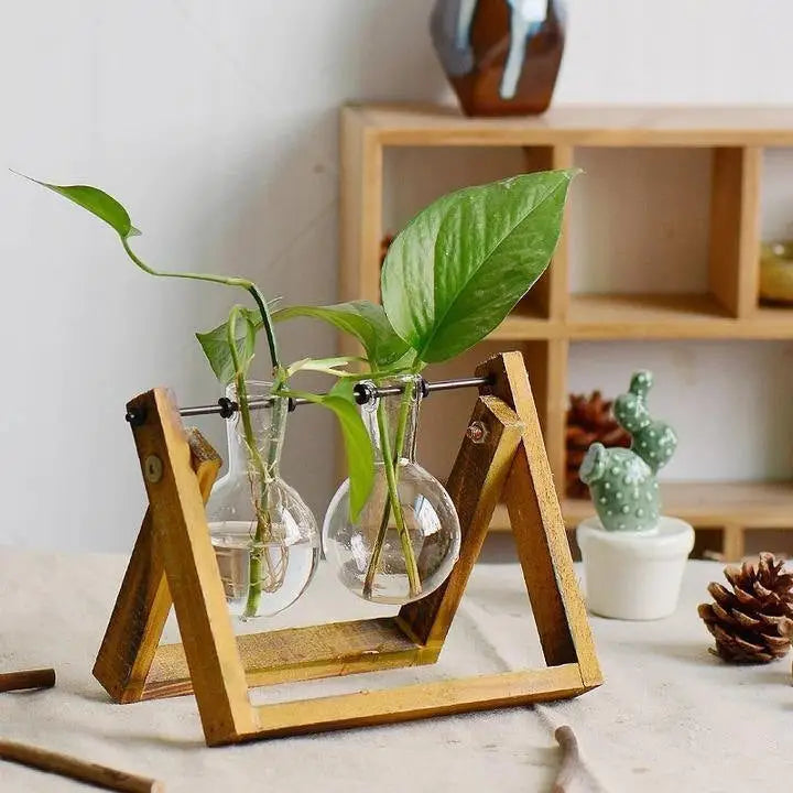 Aesthetic terrarium vase - medium