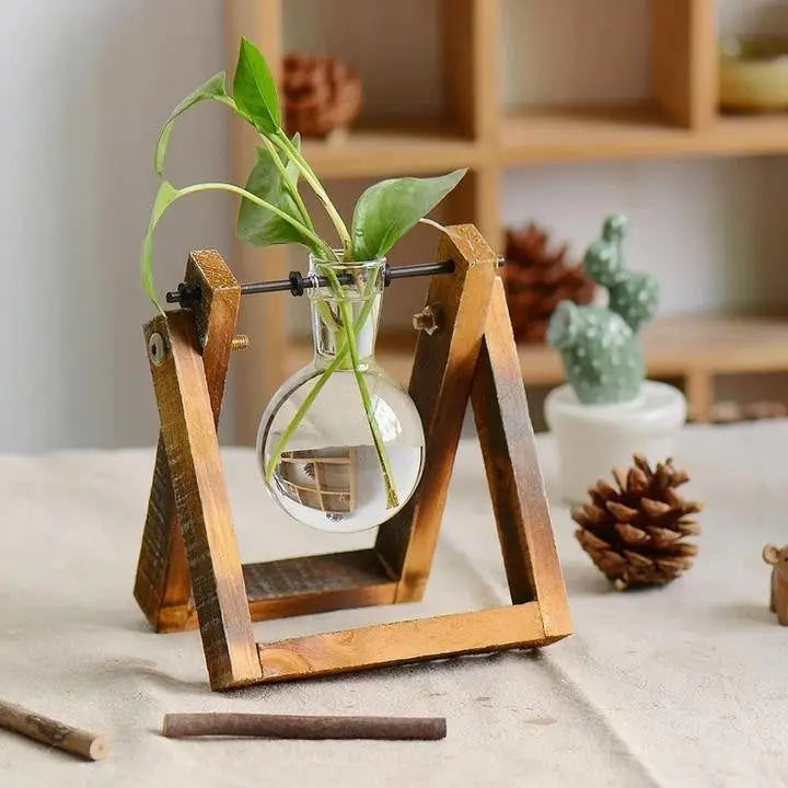 Aesthetic terrarium vase for unique room decor - small