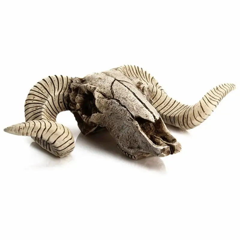 Animal skull wall decor for witchy aesthetic home accents