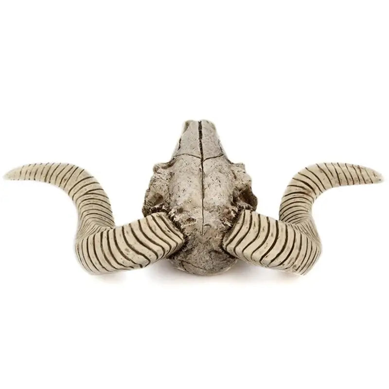 Animal skull wall decor for witchy aesthetic home accents