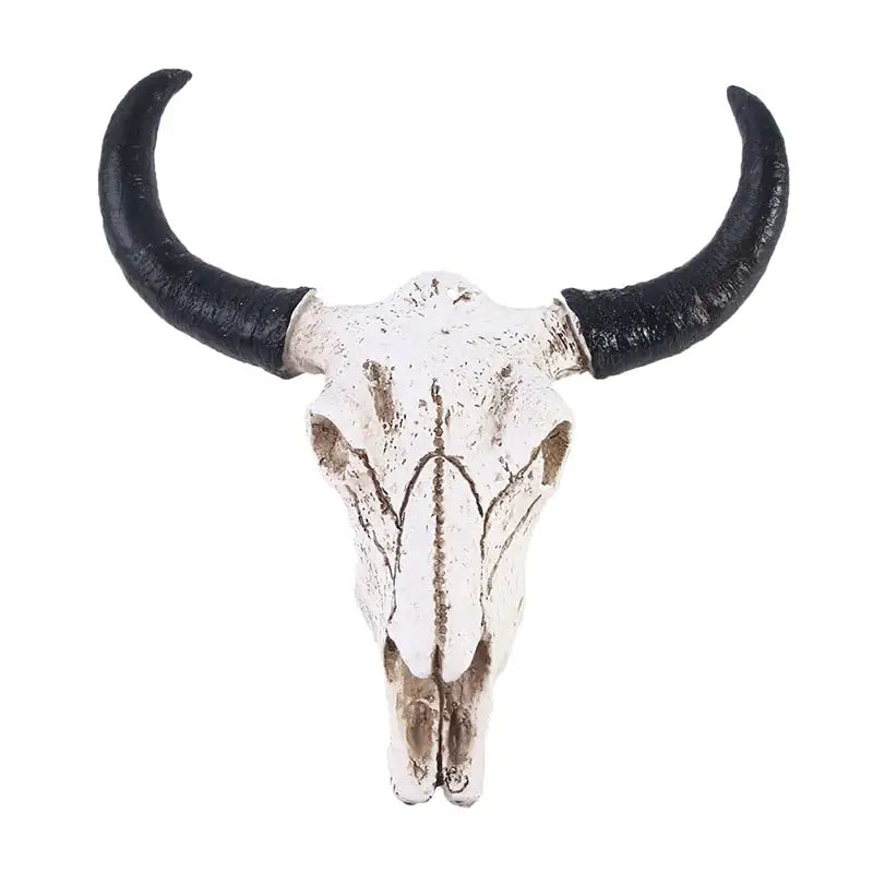 Animal skull wall decor - cow