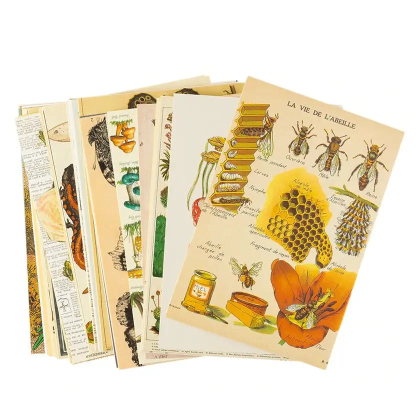 Botanic garden collage kit - posters prints & visual artwork