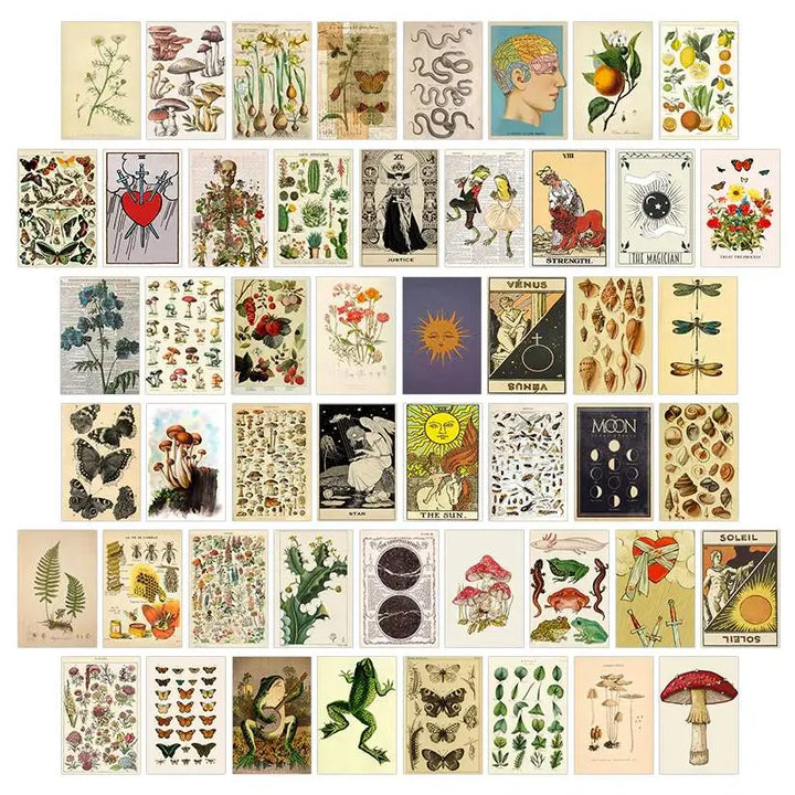 Botanic garden collage kit for aesthetic room decor - posters prints & visual artwork