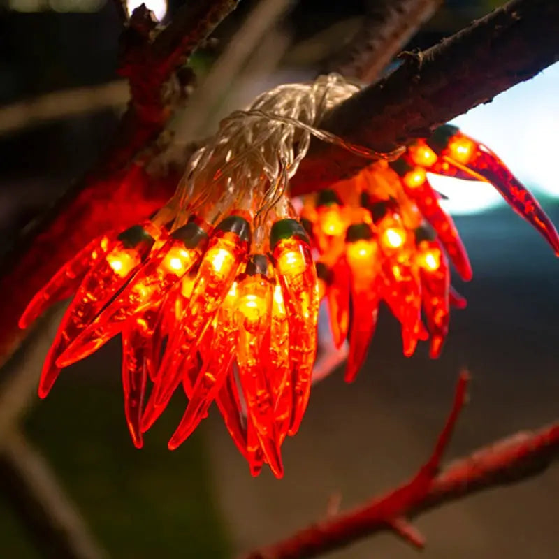 Chili string lights for aesthetic room ambiance and decor - 3m 20leds