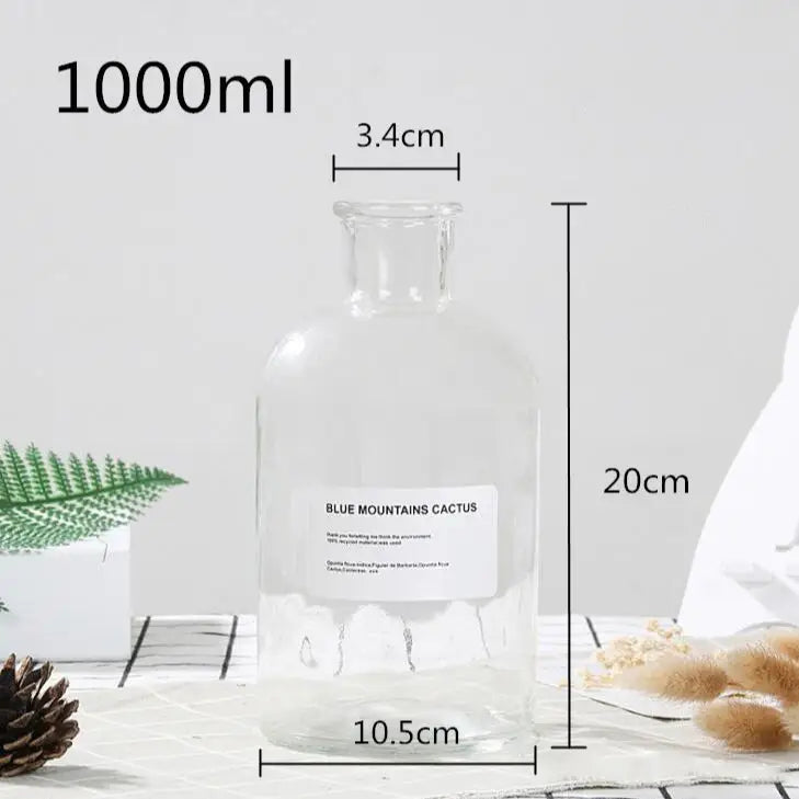 Dark academia flower vase for aesthetic home decor - clear / 1000ml / small