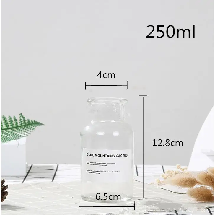 Dark academia flower vase for aesthetic home decor - clear / 250ml / wide