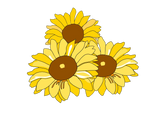 Sunflower sweatshirt