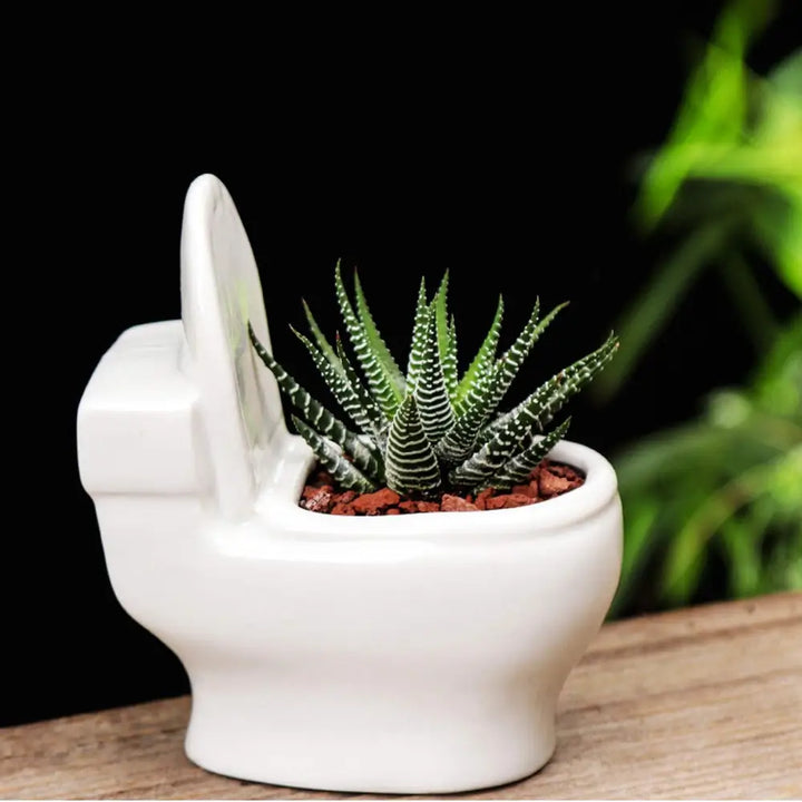 ’floraflush’ toilet-shaped planter