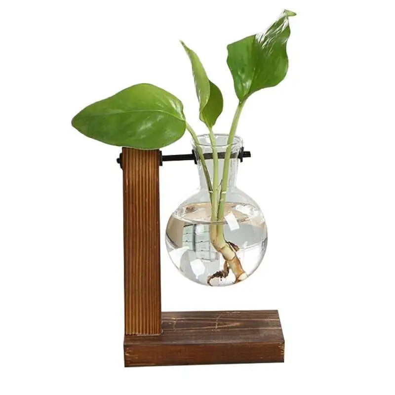 Hydro plant bulb vase for aesthetic home decor - b