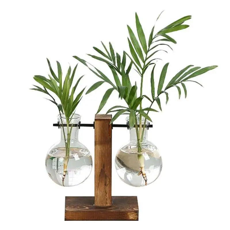 Hydro plant bulb vase for aesthetic home decor - c