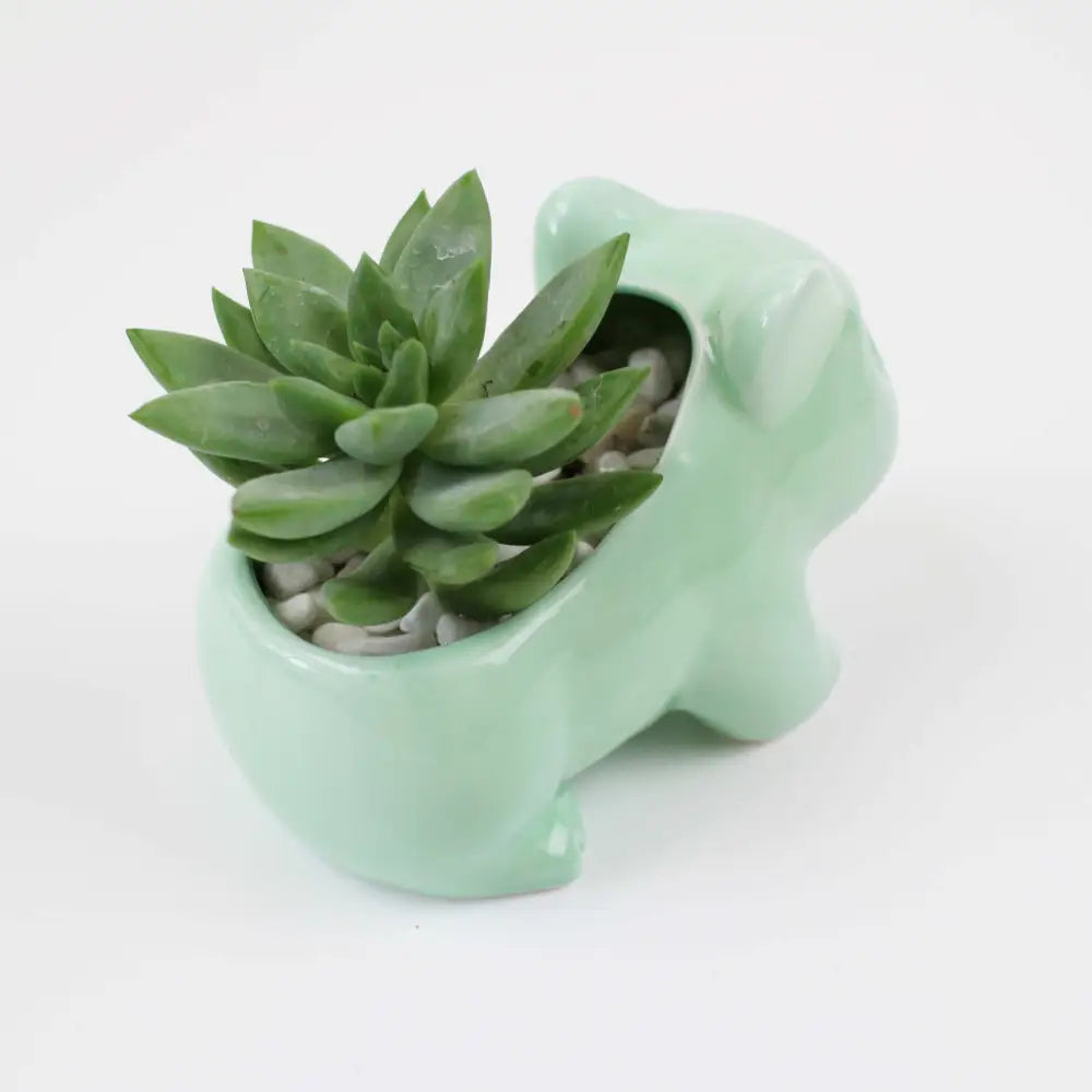 Kawaii flower pot for aesthetic room decor and anime lovers