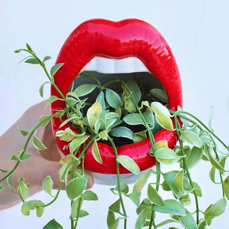 Whimsical lips shape planter for succulents and cacti