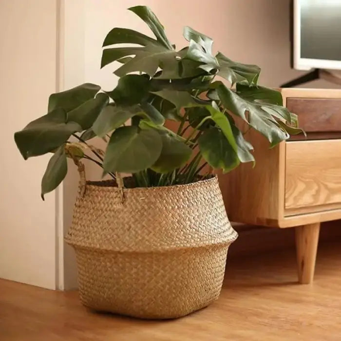 Rattan plant holder - 11cm xxs