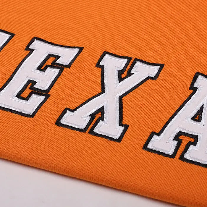 Texas embroidery aesthetic hoodie